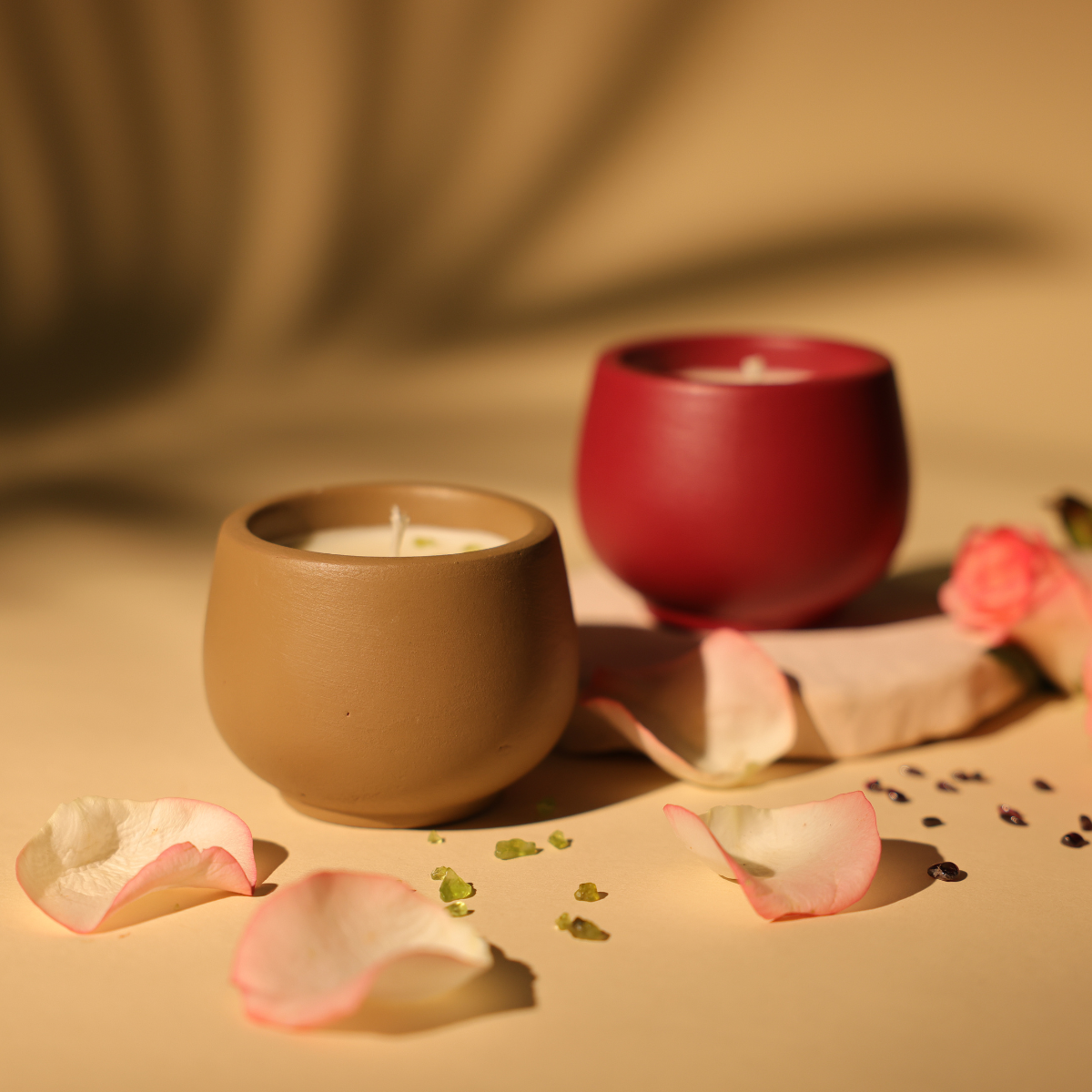 Som Saanjh(Planter Candle)