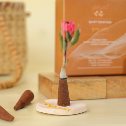 KRISHNA DARSHAN - INCENCE CONES- TOP NOTES - SOFT RESINOUS TONES (32 pcs)