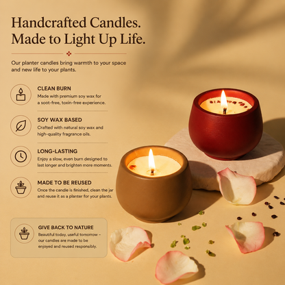 Som Saanjh(Planter Candle)