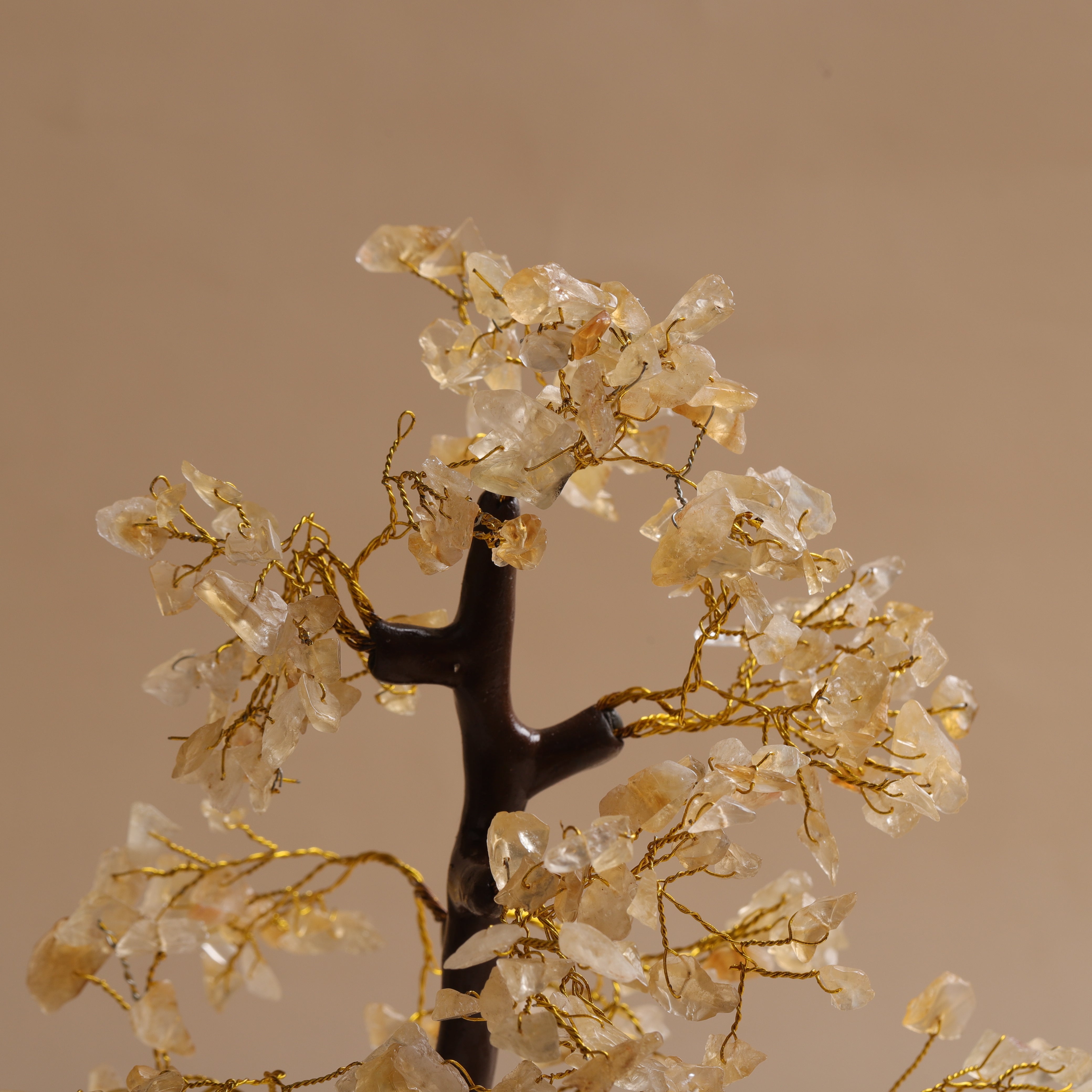 Citrine tree deals of life